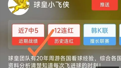 连胜盘点胜，集团信息，负及总分深度解析